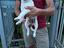 Immagine 2