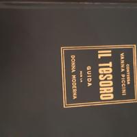 Il tesoro di Vanna Piccini