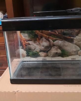 acquario 