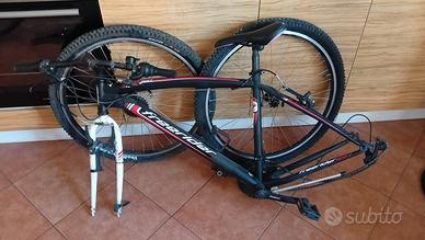 bicicletta freerider