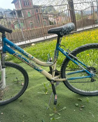 Bici mtb