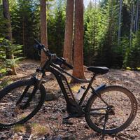E-bike / MTB Elettrica Giant Talon E+ 2022 - TG-L