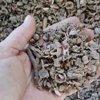 Alternativa al pellet da gusci di nocciole