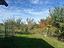 Immagine 23