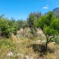 Capaci Terreno Agricolo 1000mq con vista mare