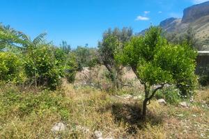 Capaci Terreno Agricolo 1000mq con vista mare