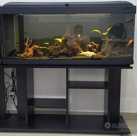 Acquario MTB 240 lt 120x40x50 + supporto (Palermo)