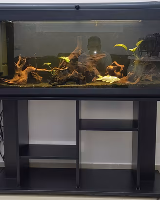 Acquario MTB 240 lt 120x40x50 + supporto (Palermo)