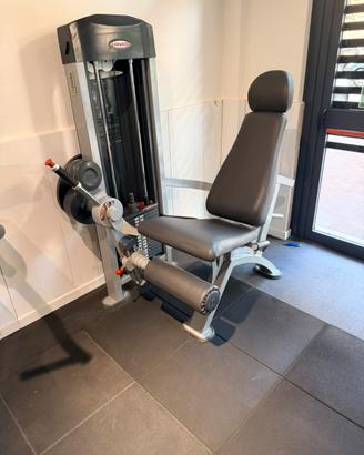 Leg EXTENSION panatta