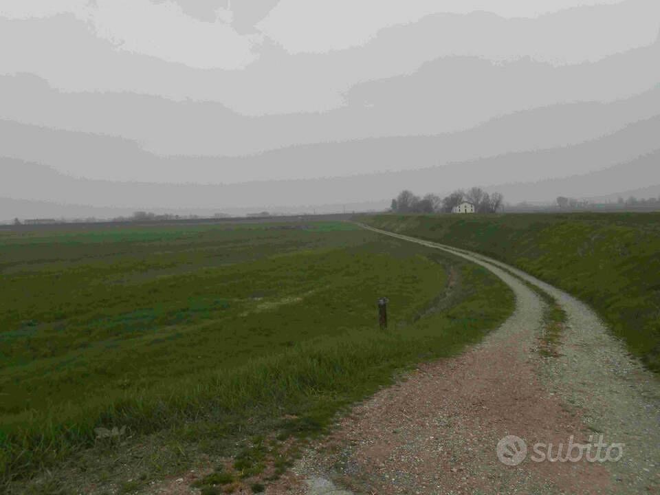 Immobile in asta di 104250 m² a Reggio Emilia - Vista 4