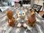 Immagine 1