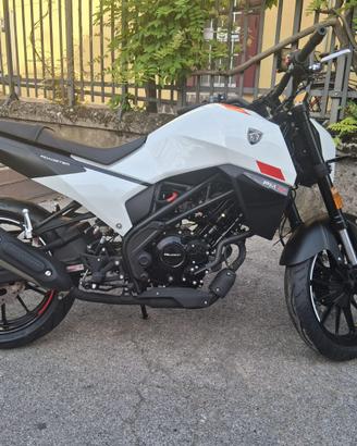 PROMO NAKED PEUGEOT PM-01 125cc MOT. A LIQUIDO