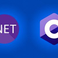 PM, Analista Programmatore DotNet Full Stack