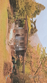 Vendita terreno con casetta