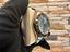 Immagine 2
