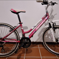 Legnano L666/ SEAHORSE 24″ ACCIAIO 18V - City bike