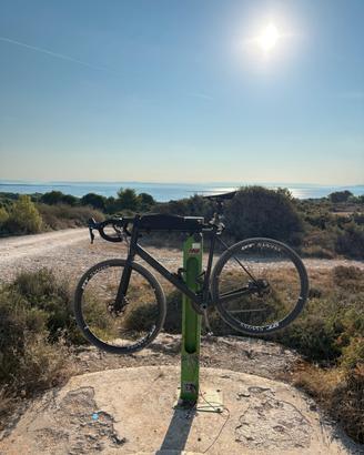 Canyon endurace XL