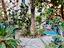 Immagine 12