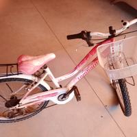 bicicletta 50euro