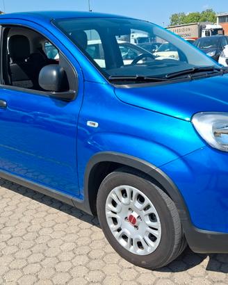 Fiat Pandina 1.0 firefly hybrid s&s 70cv 5p.ti