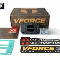 Pacco lamellare Am6 vforce3 Minarelli derbi