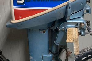 Evinrude 9.9CV -Tagliandato+elica nuova-OCCASSIONE