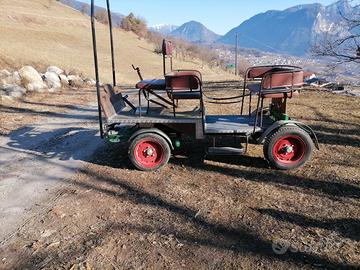 carrozza per cavallo