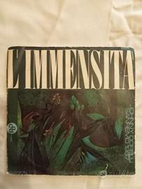 Disco vinile 45 giri