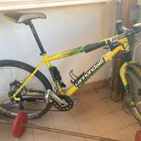 Mountain bike Cannondale