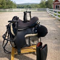 Sella Western Pioneer