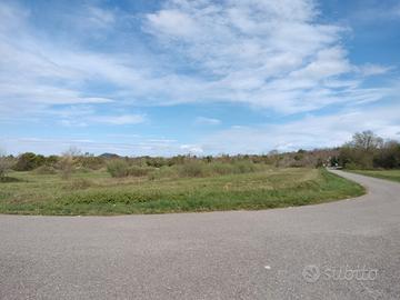 Lotti di terreno agricolo di 10.000mq