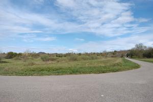 Lotti di terreno agricolo di 10.000mq