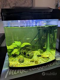 Acquario 20 Litri