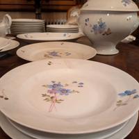 servito piatti Ginori decorato a mano 