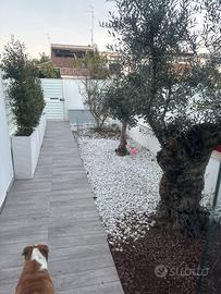 Villa a valenzano bari