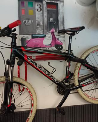 bici da corsa 