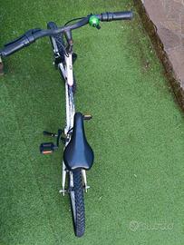bicicletta bambino/a 20"