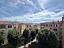 Immagine 23
