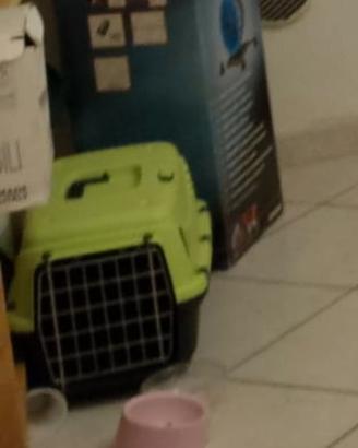 Trasportino per animali domestici