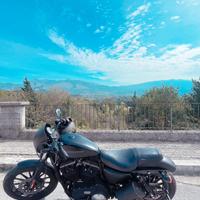 Harley Davidson Sportster Iron 883