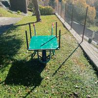 carriola per trasporto legna