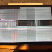 Apple Pencil 2 +IPad Air 4 Schermo/scocca rotti