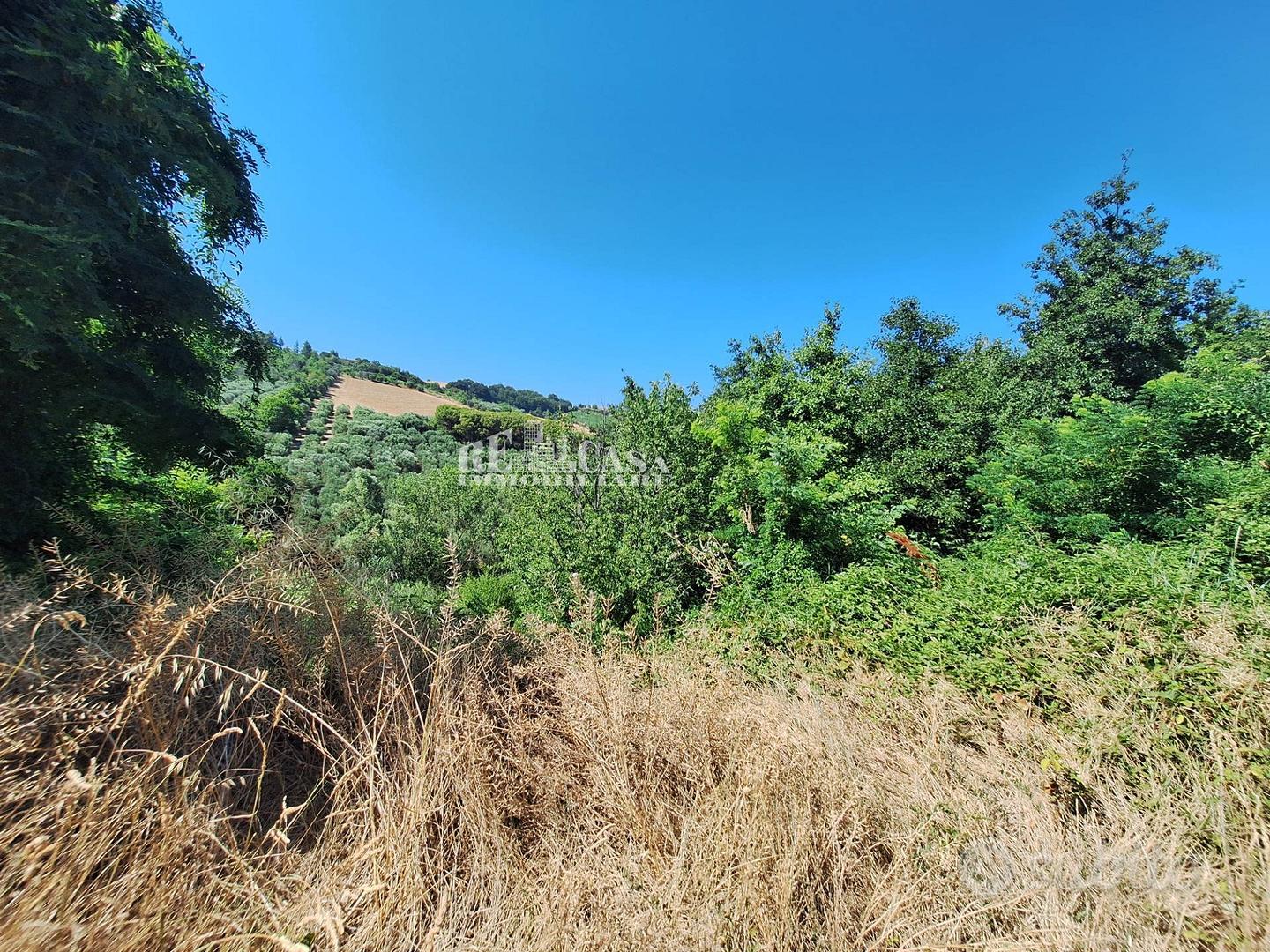 Terreno agricolo - Acquaviva Picena - Vista 3