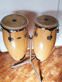 CONGAS latin percussion