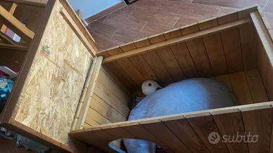 cuccia per cani taglia piccola media