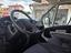 Immagine 12