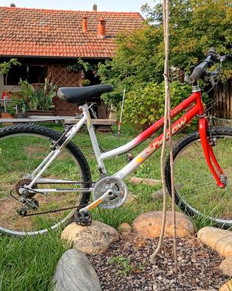 bici Mountainbyke