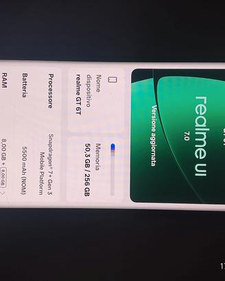 realme gt 6 T 