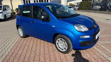 FIAT Pandina 1.0 FireFly Hybrid 65cv POP KMO