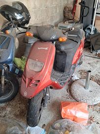 paggio thypoon 50